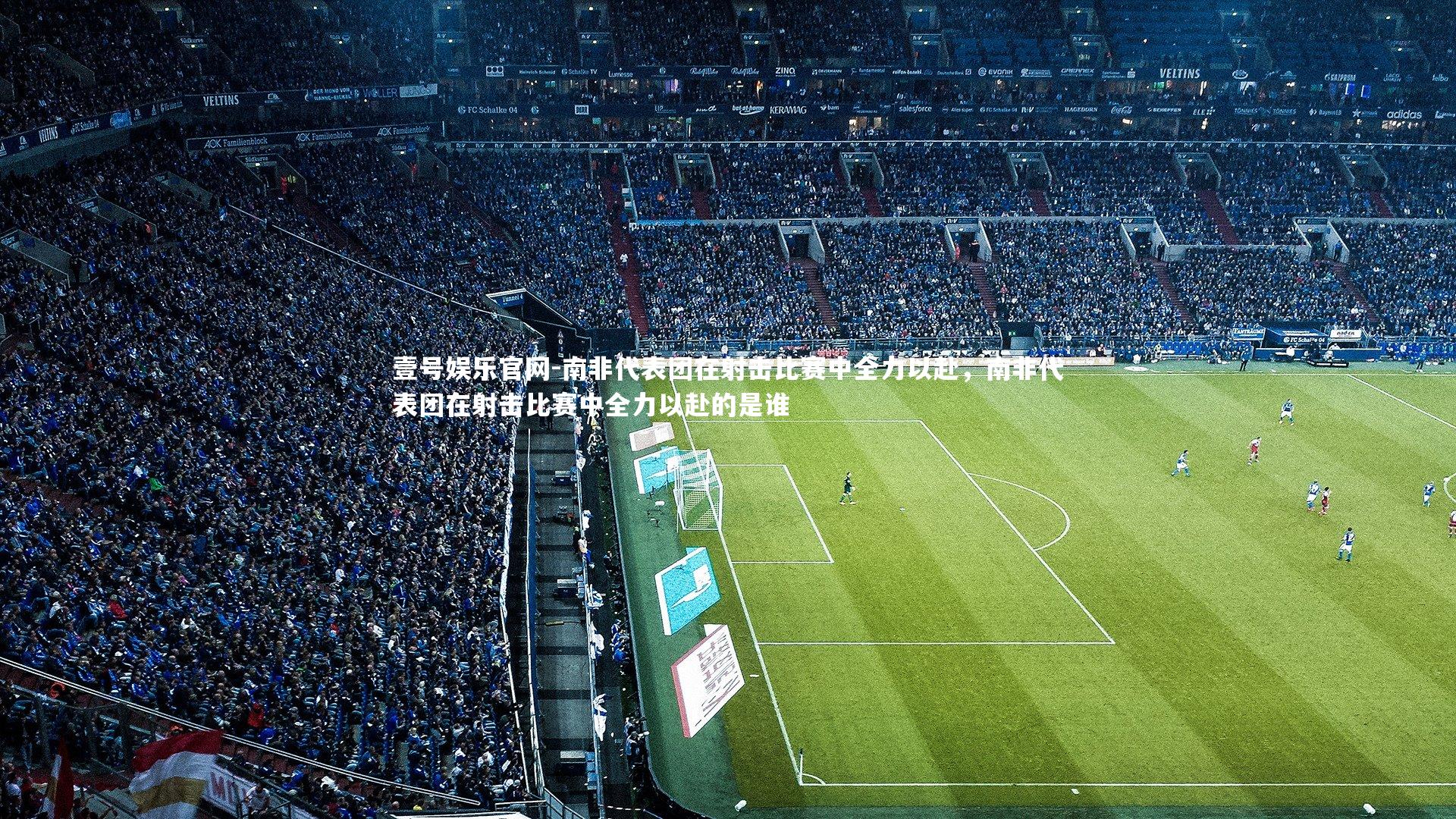 南非代表团在射击比赛中全力以赴,南非代表团在射击比赛中全力以赴的是谁