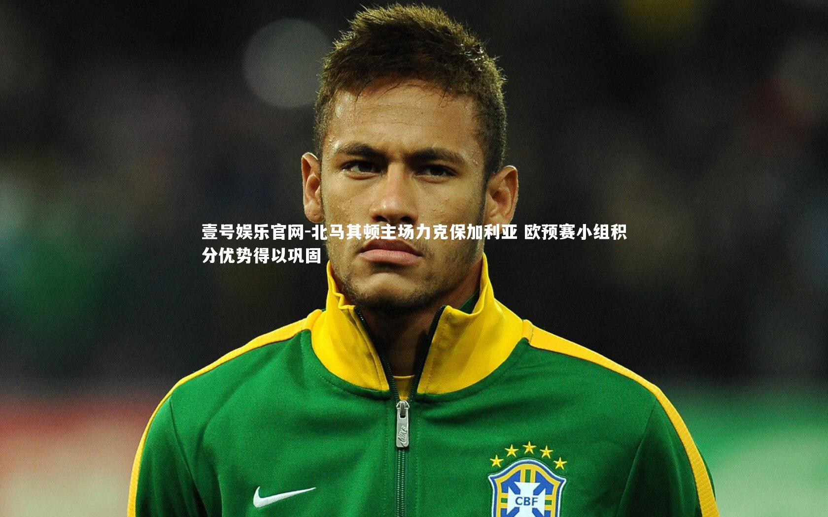 北马其顿主场力克保加利亚 欧预赛小组积分优势得以巩固